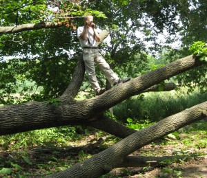 Ed up a tree at Woodwalk